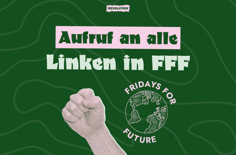 Aufruf an alle Linken in FFF