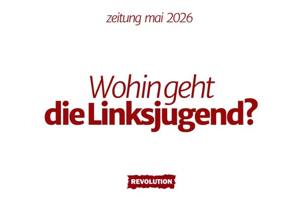 Wohin geht die Linkjugend?