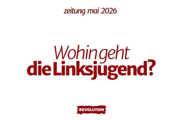 Wohin geht die Linkjugend?